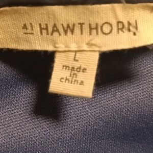 FINAL PRICE NWT 41 HAWTHORN lined Jace Embroidered Lace Dress Large